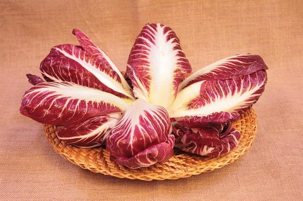 RADICCHIO LUNGO