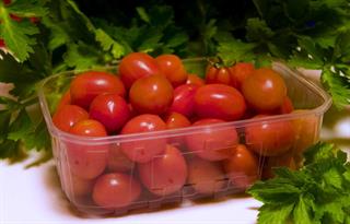 POMODORO DATTERINO   E298