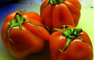 POMODORO CUORE DI BUE   E299