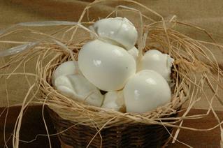 SCAMORZA APPASSITA                  1 PZ               L10