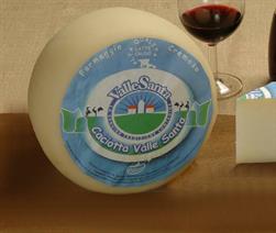 CACIOTTA DI LATTE MISTO             PECORA E VACCA 1KG L241