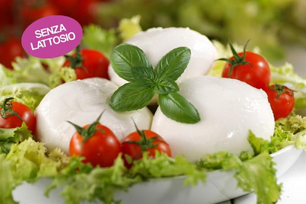 MOZZARELLA DI LATTE DI VACCA S/L 4PZ=CIRCA 500GR