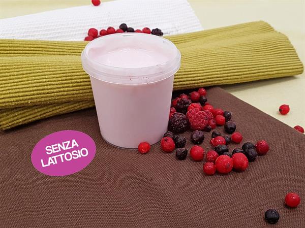 YOGURT S/LATTOSIO FRUTTI DI BOSCO 2 PZ=300GR