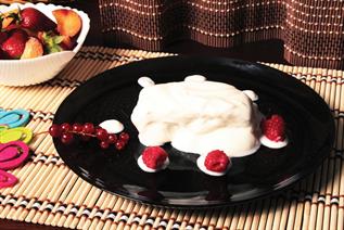 STRACCHINO DI BUFALA E YOGURT                        L291