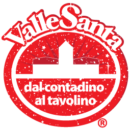 logo-valle-santa-natale