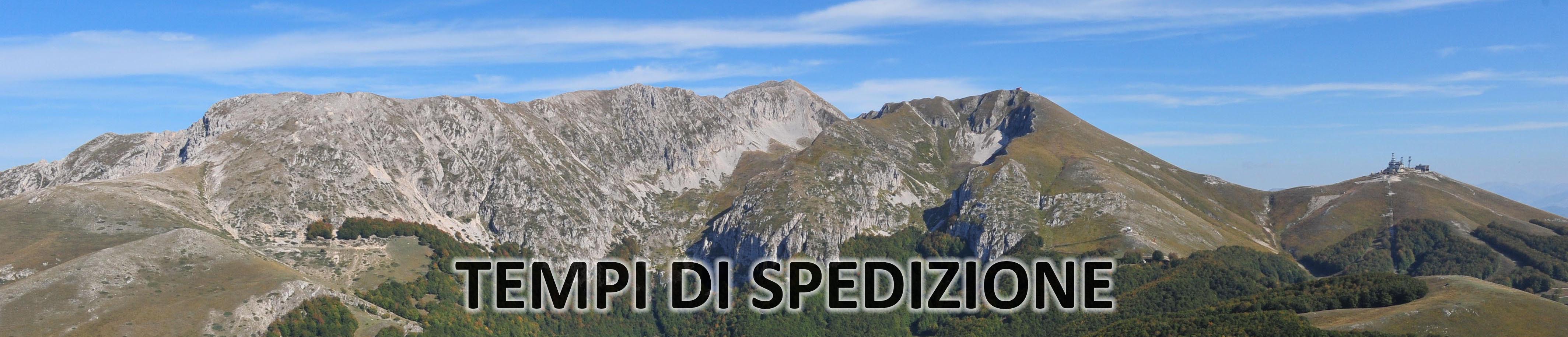 spedizione